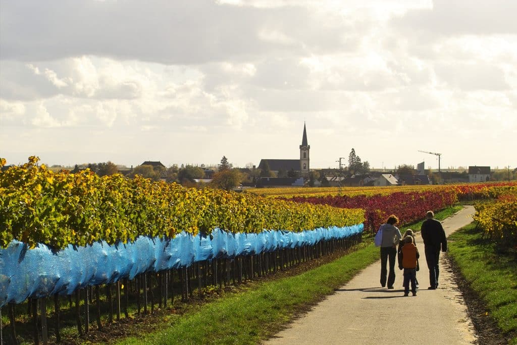 Merritt World Vacations Shares Lesser-Known U.S. Wine Regions 3
